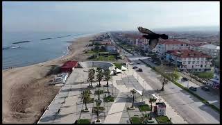 PALACI İNŞAAT OFİS